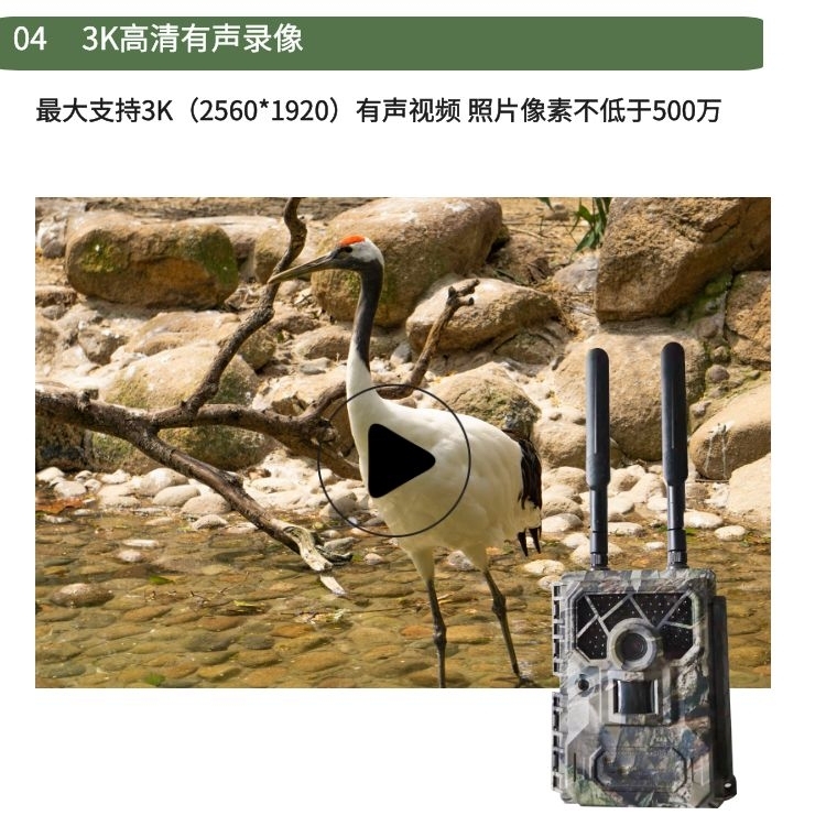 千库编辑_功能展示04.jpg