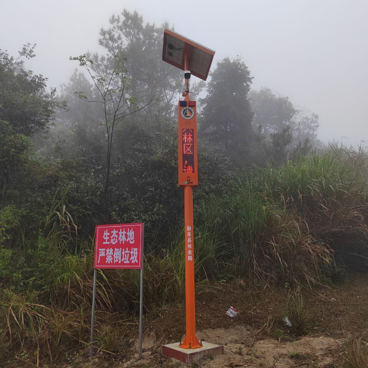 如何有效地预防和控制森林火灾？