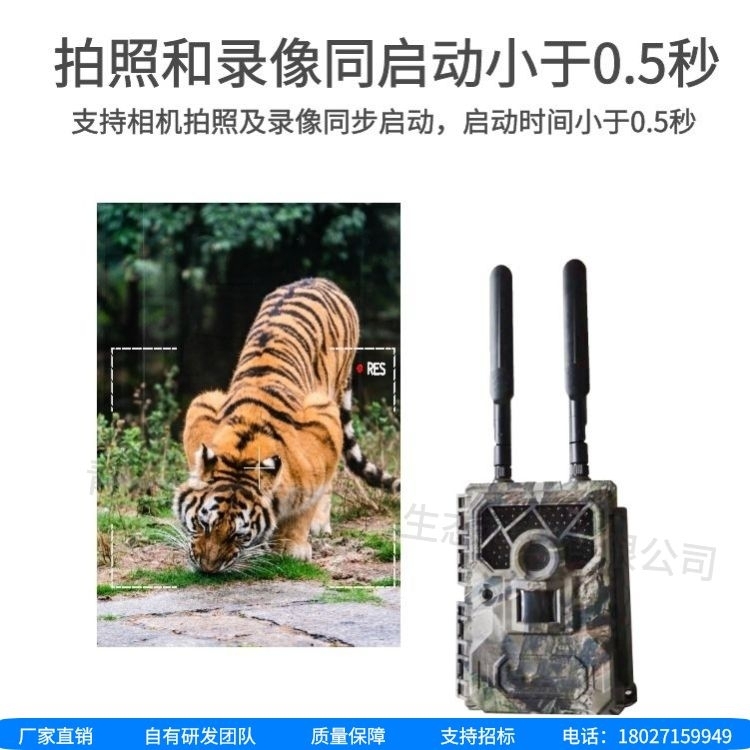 顶级摄影装备：野生动物抓拍相机的技术与应用探析