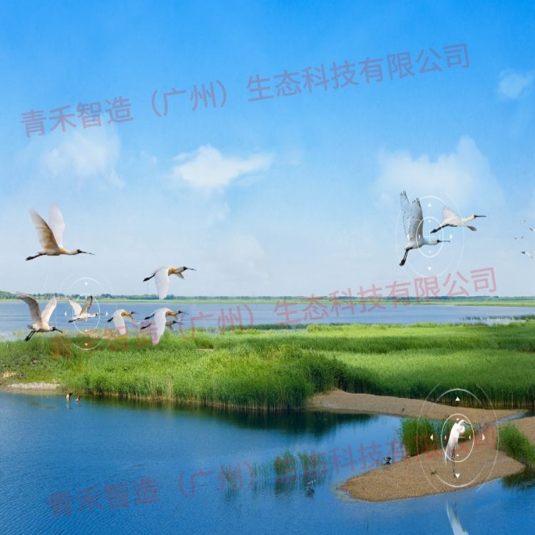 南方连日暴雨，户外防水播报，为您出行保驾护航