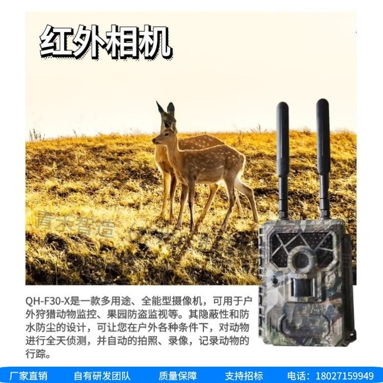 顶级摄影装备：野生动物抓拍相机的技术与应用探析