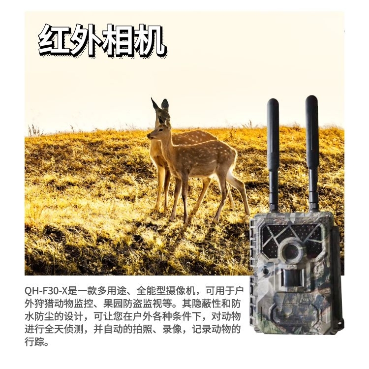 野外动物监测红外相机的问题与争议：未能充分保护生态平衡与动物福利