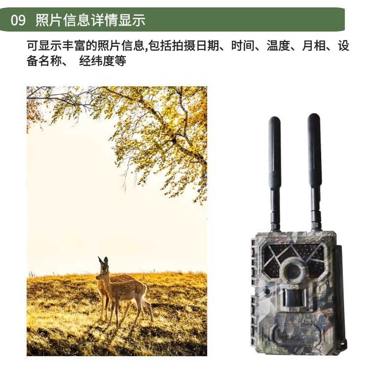 比较分析：4G野外红外触发相机的优缺点及应用场景