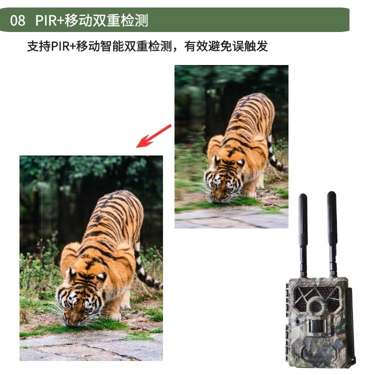 野外动物监测红外相机的问题与争议：未能充分保护生态平衡与动物福利